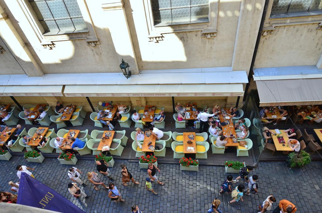 Pension Karlova Prague Chambre photo